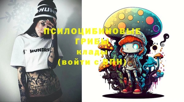 прущие грибы Семикаракорск