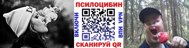 Галлюциногенные грибы Psilocybine cubensis Звенигород