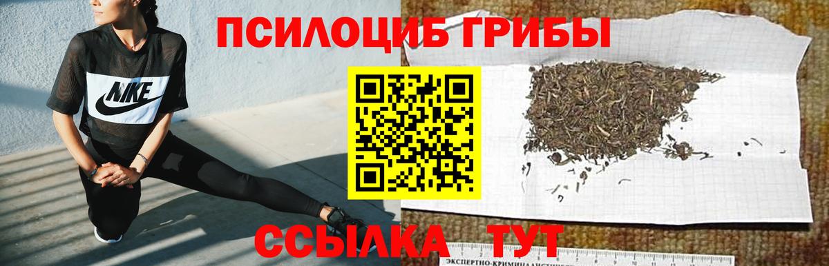 Звенигород  Галлюциногенные грибы Magic Shrooms  Вход с VPN  Галлюциногенные грибы прущие грибы 